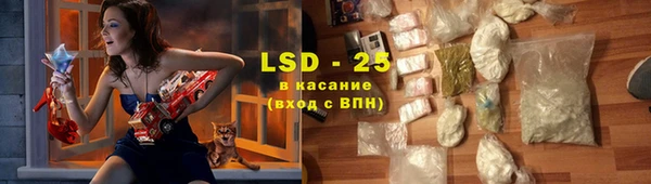гашик Богданович