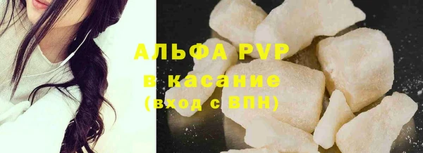 гашик Богданович