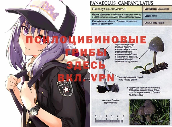 MDMA Premium VHQ Богородицк