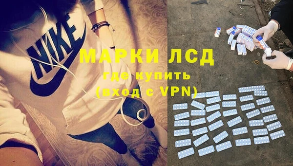 гашик Богданович