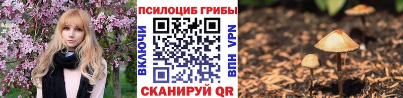 Псилоцибиновые грибы мухоморы  Северская 