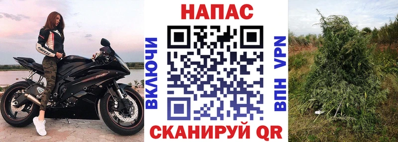 дарнет шоп  Северская  Бошки Шишки индика 